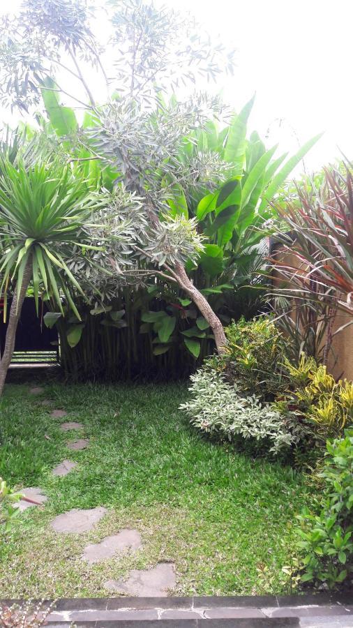 De Mangku Hotel Ubud  Luaran gambar